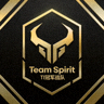DOTA2顶级战队Team Spirit战队Logo - TI冠军战队